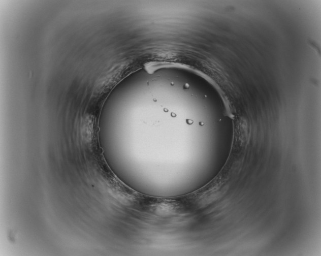 X0000102030412200807251356