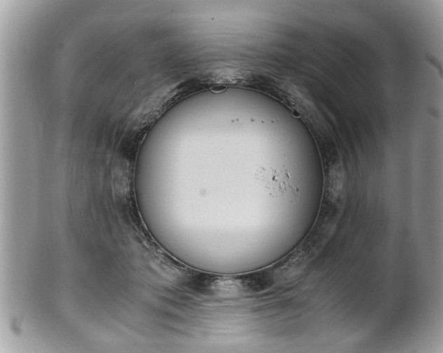 X0000102030413200807251356