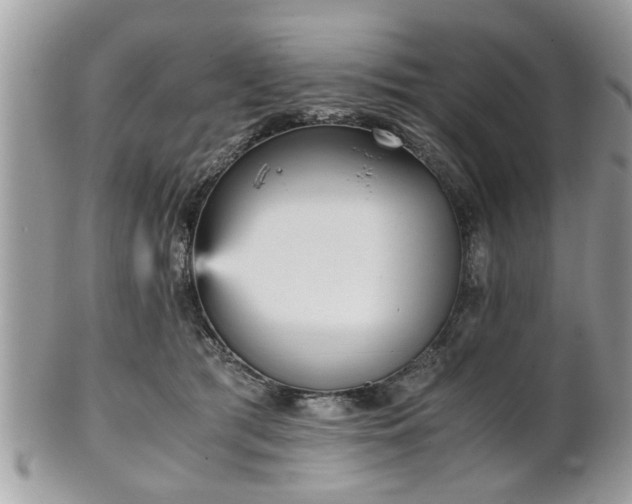 X0000102030417200807251355