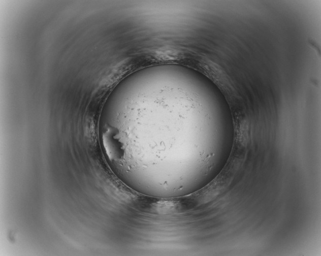 X0000102030418200807251355