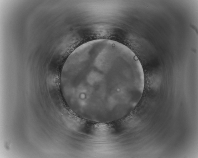 X0000102030419200807251355