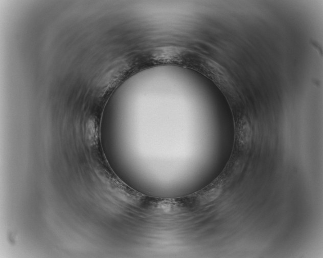 X0000102030420200807251355