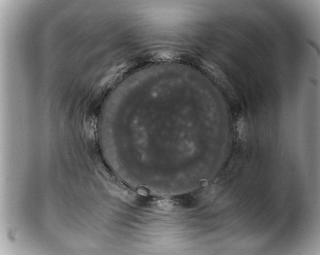 X0000102030423200807251355