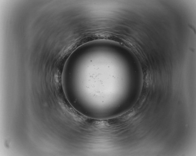 X0000102030424200807251355