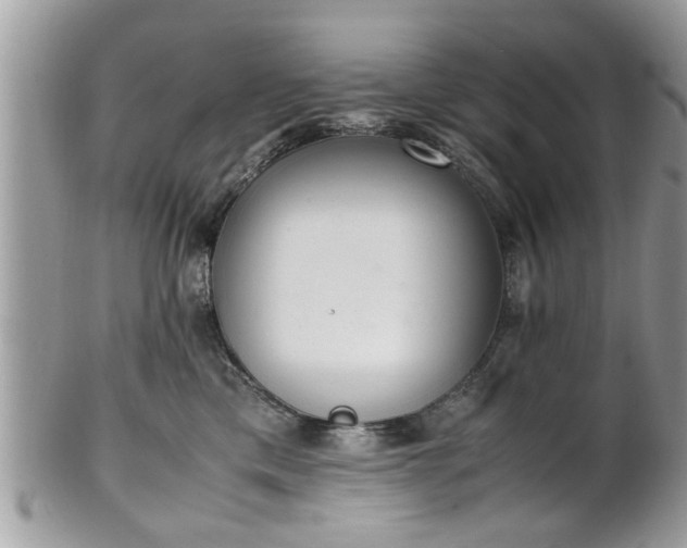 X0000102030425200807251355