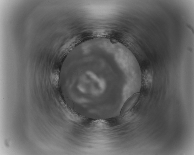 X0000102030427200807251355