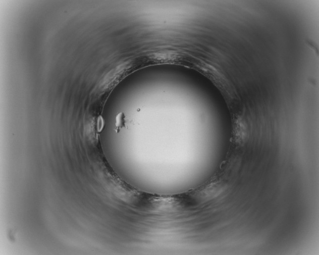 X0000102030428200807251355