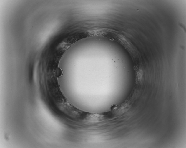 X0000102030429200807251355