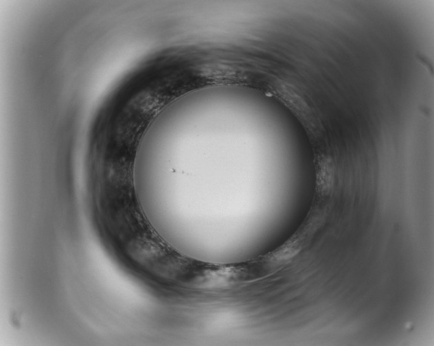 X0000102030430200807251355