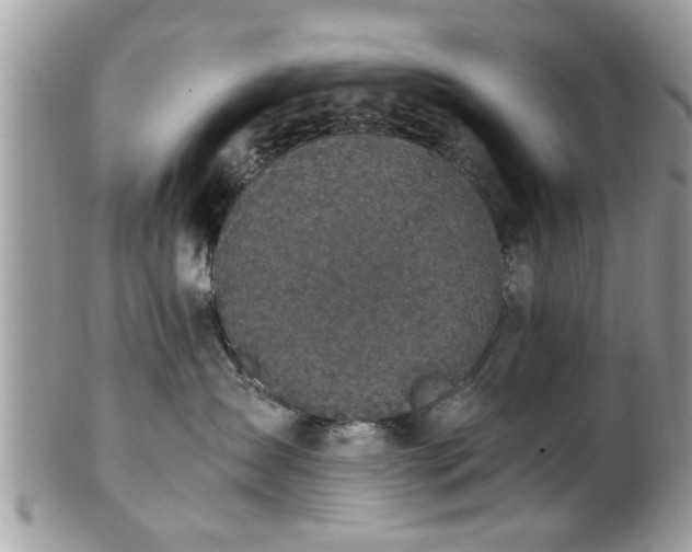 X0000102030431200807251355