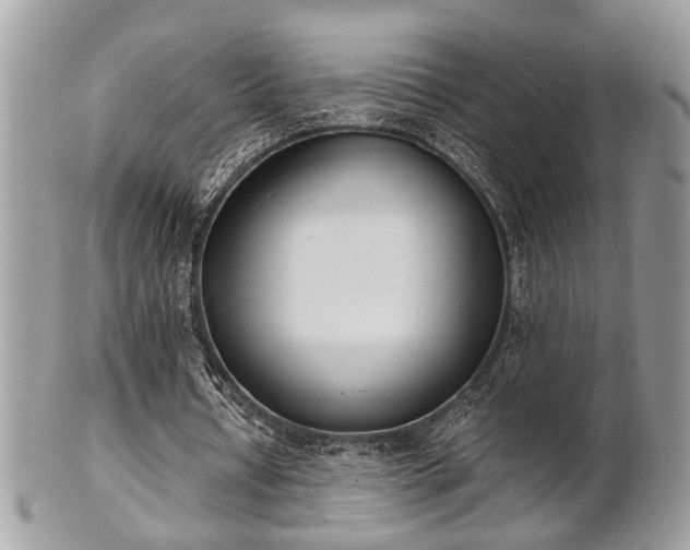 X0000102030434200807251354