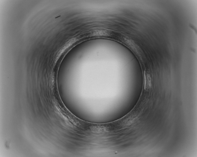 X0000102030435200807251354