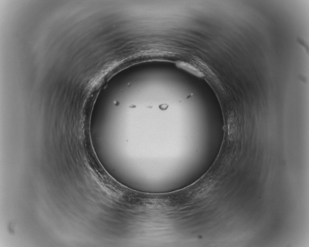 X0000102030436200807251354