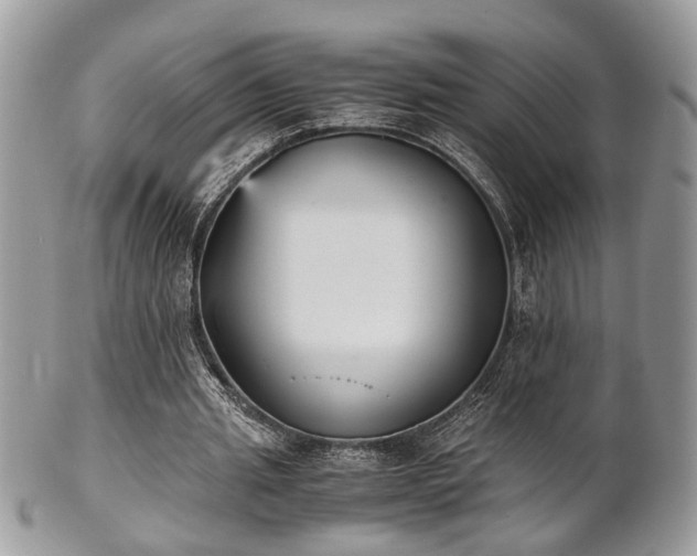 X0000102030437200807251354