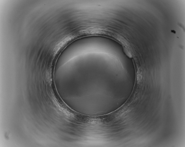 X0000102030438200807251354