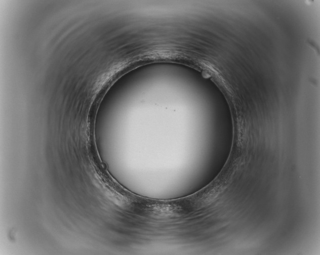 X0000102030439200807251354