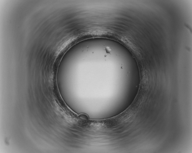 X0000102030440200807251354