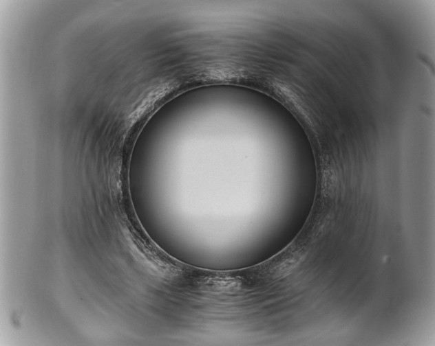 X0000102030443200807251355