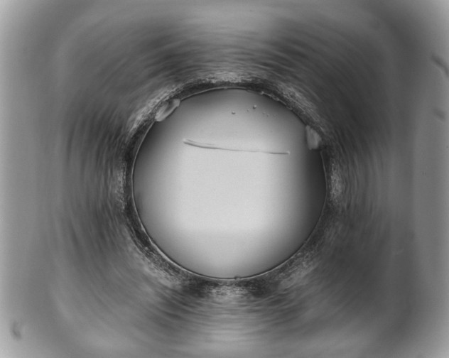 X0000102030444200807251355