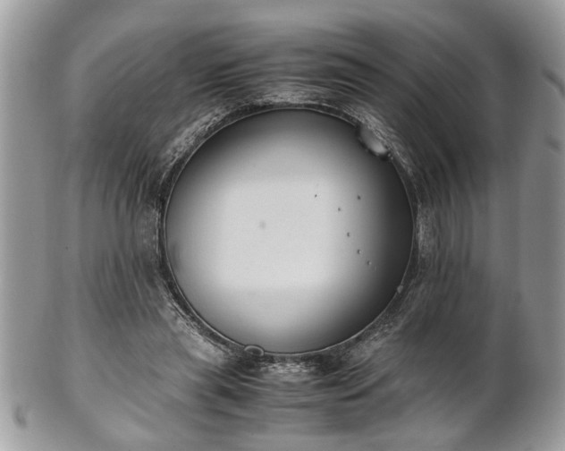 X0000102030445200807251355