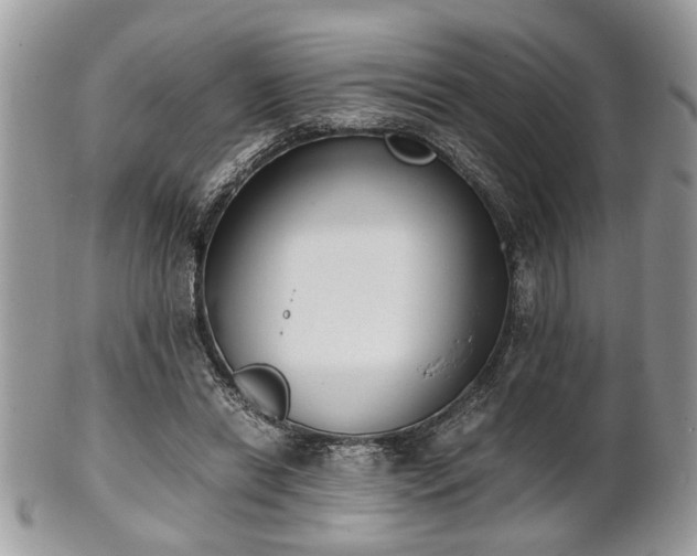 X0000102030446200807251355