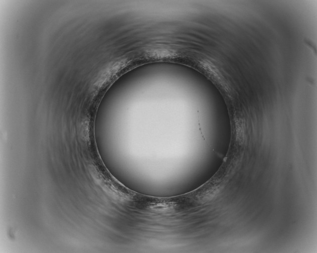 X0000102030447200807251355