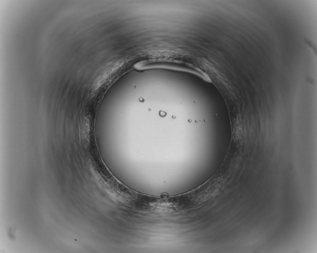 X0000102030448200807251355