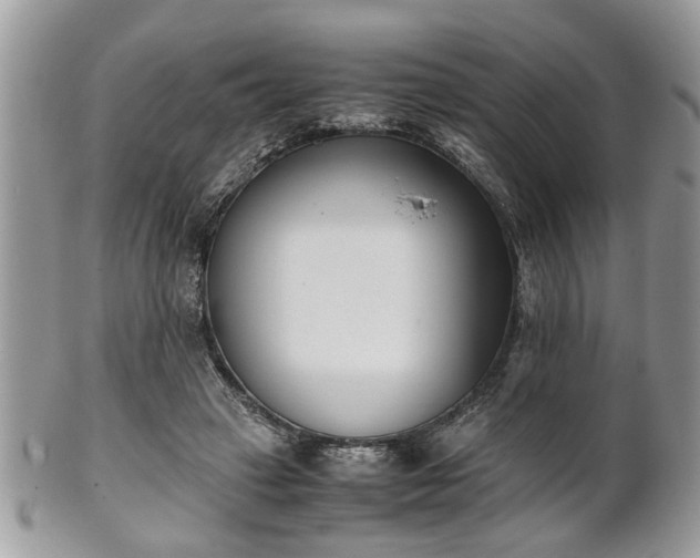 X0000102030449200807251355