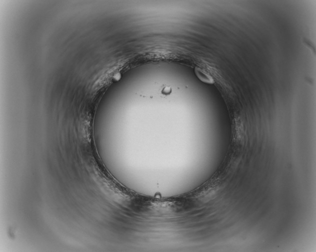 X0000102030450200807251355