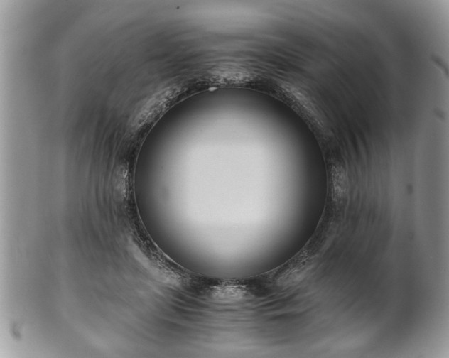 X0000102030451200807251355