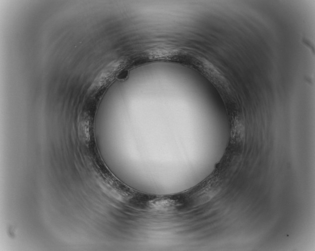 X0000102030452200807251355