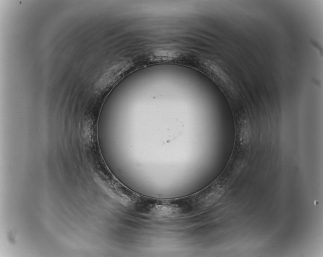 X0000102030455200807251355