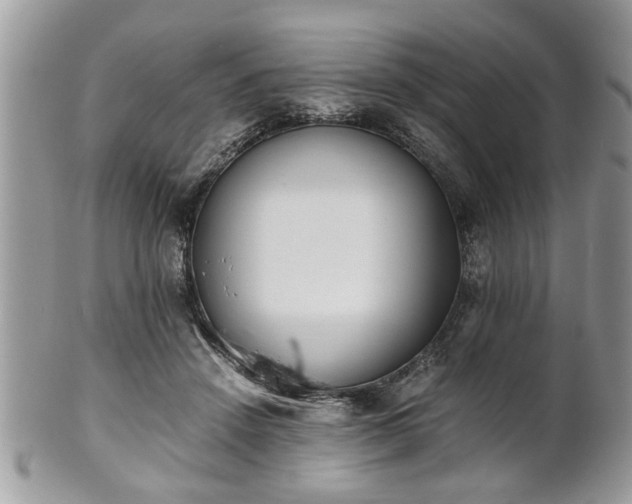 X0000102030456200807251355