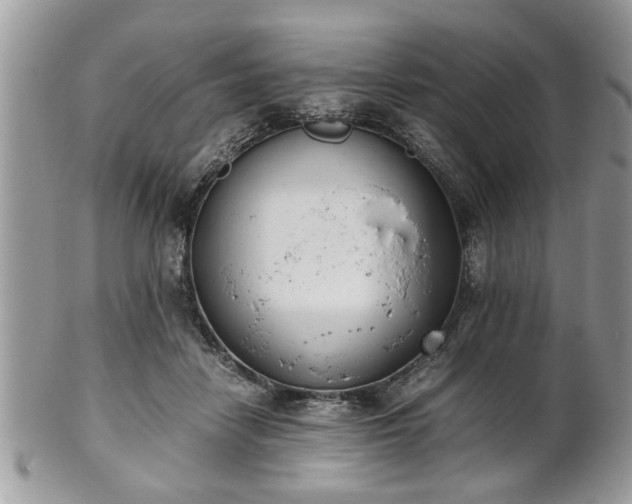 X0000102030458200807251355