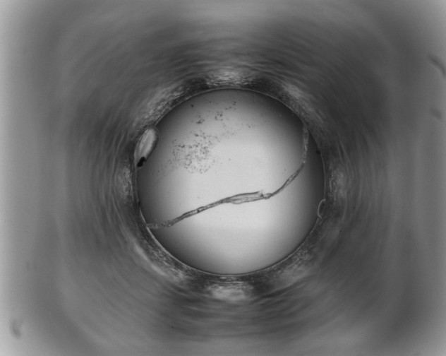 X0000102030459200807251355