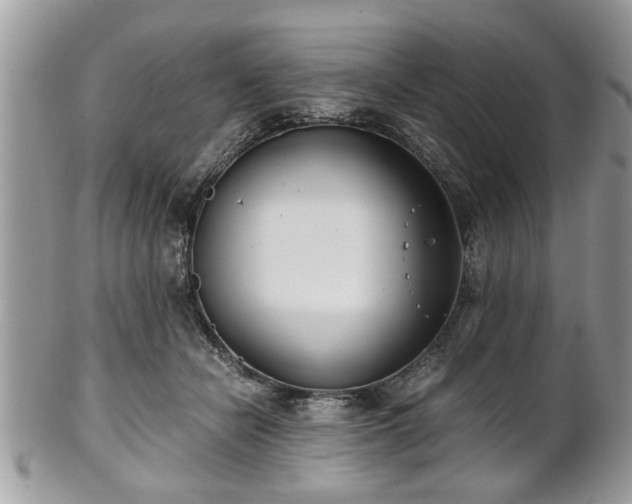 X0000102030462200807251355