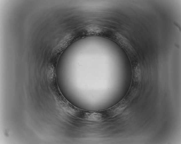 X0000102030463200807251355