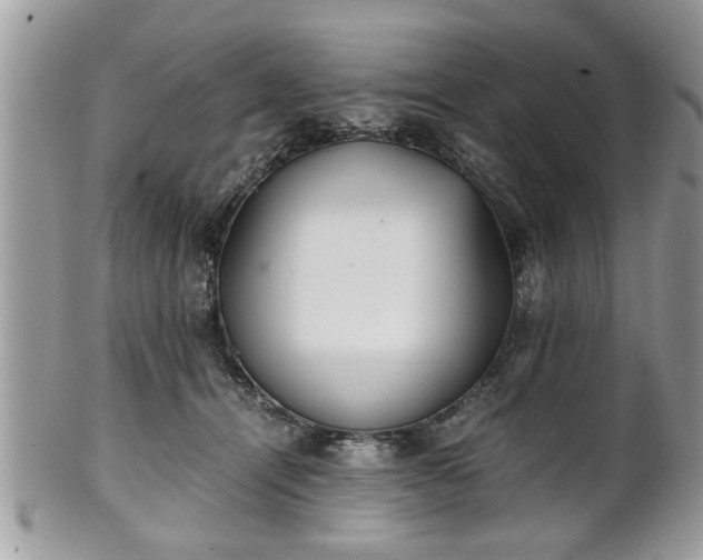 X0000102030464200807251355