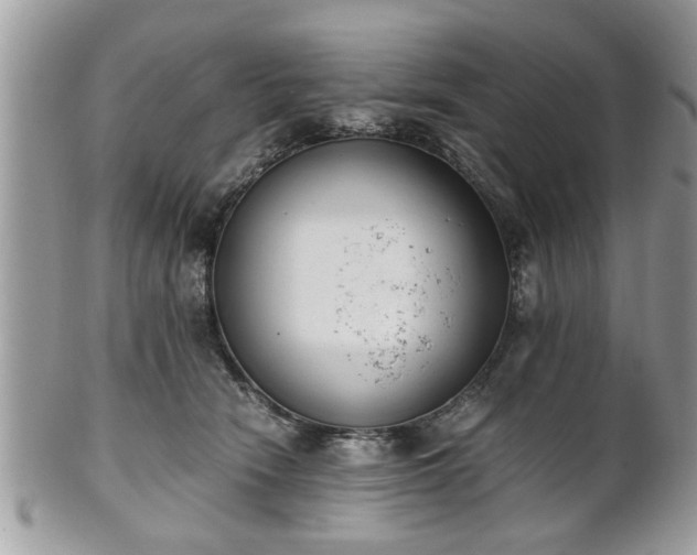 X0000102030466200807251355