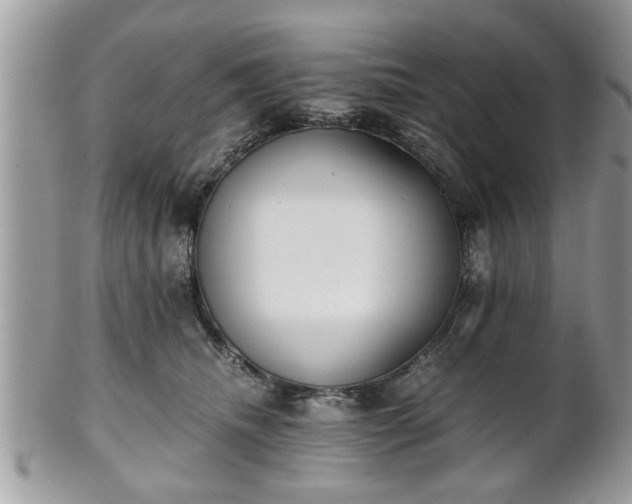 X0000102030468200807251355