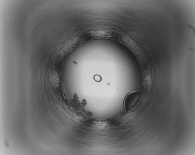 X0000102030469200807251355