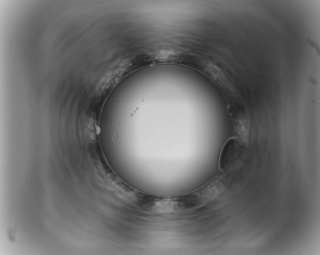 X0000102030470200807251355