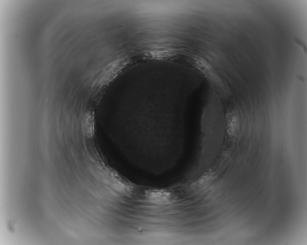 X0000102030471200807251355