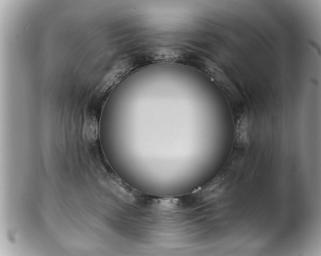 X0000102030474200807251355