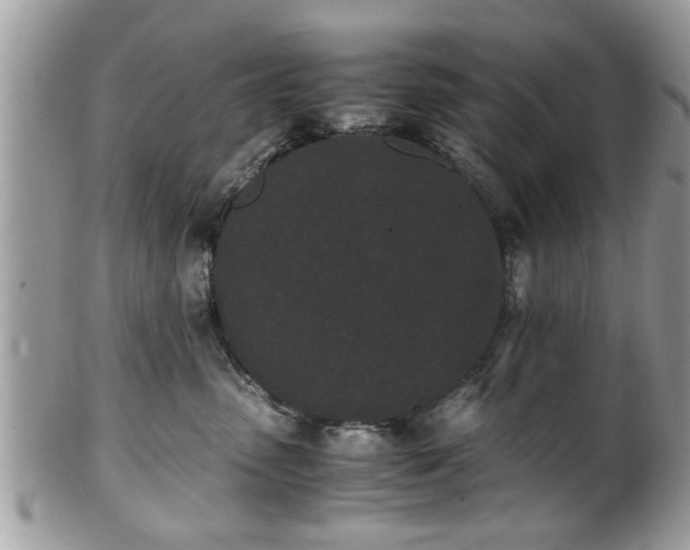 X0000102030475200807251355