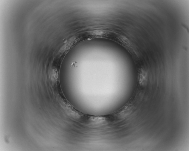 X0000102030476200807251355