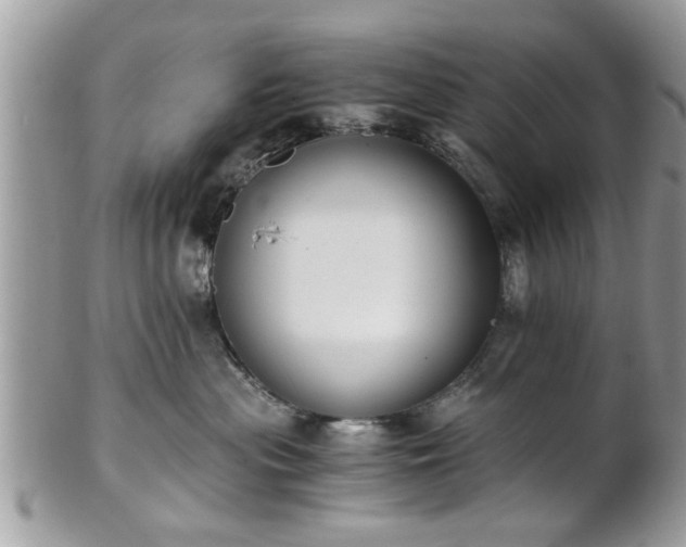 X0000102030477200807251355