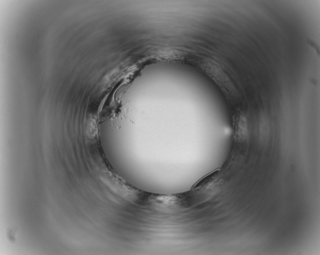 X0000102030478200807251355