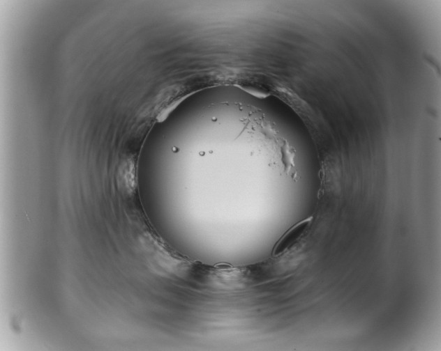 X0000102030479200807251355