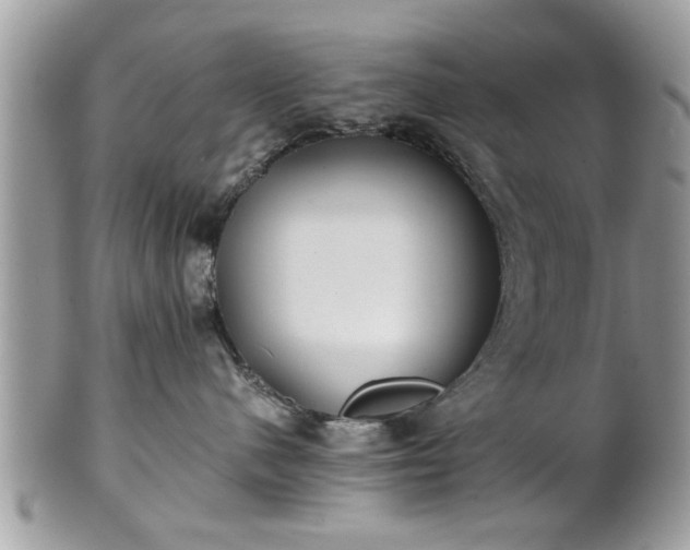 X0000102030480200807251355